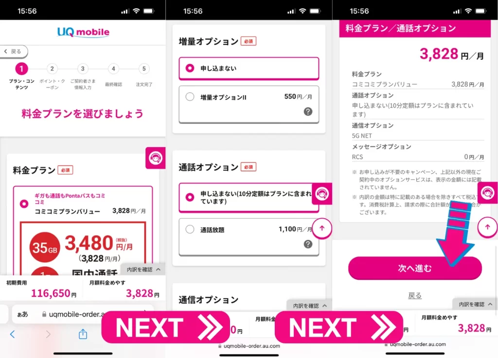 料金プラン、オプションを選び、次へ進む